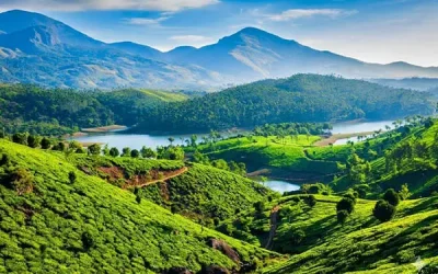 munnar-1