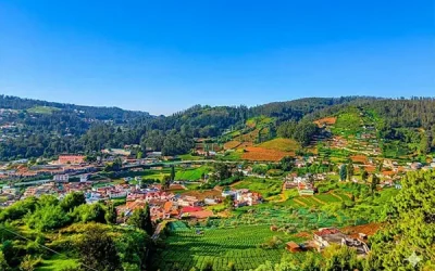 ooty
